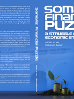 SOMALIA: FINANCIAL PUZZLE (Available from 1st Dec 2025.)